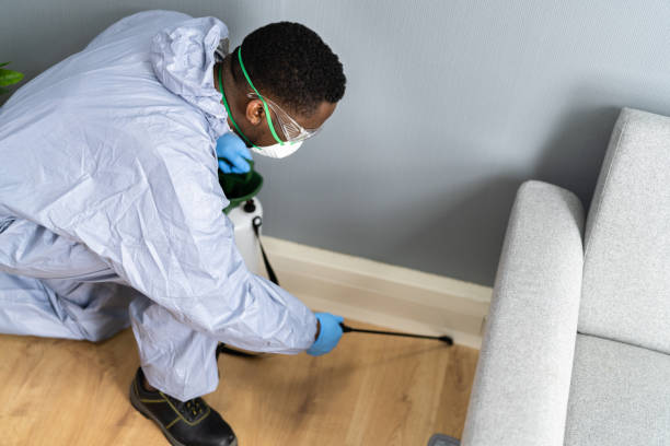 Best Pest Prevention Services  in Meadowlakes, TX